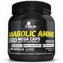 Anabolic Amino 5500