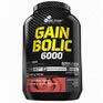 Gain Bolic 6000