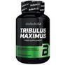 Tribulus Maximus