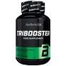 Tribooster