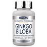 Ginkgo Biloba