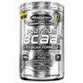 Platinum BCAA 8:1:1