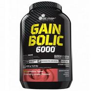 Gain Bolic 6000