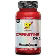 Carnitine DNA